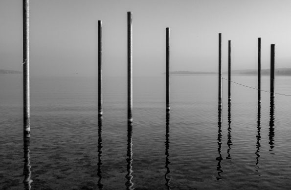 Bodensee, Lines and Boats, 2023
